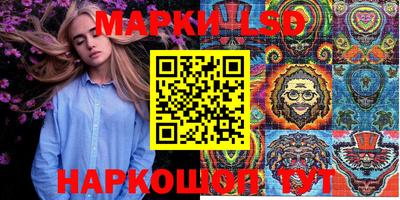 стаф Будённовск