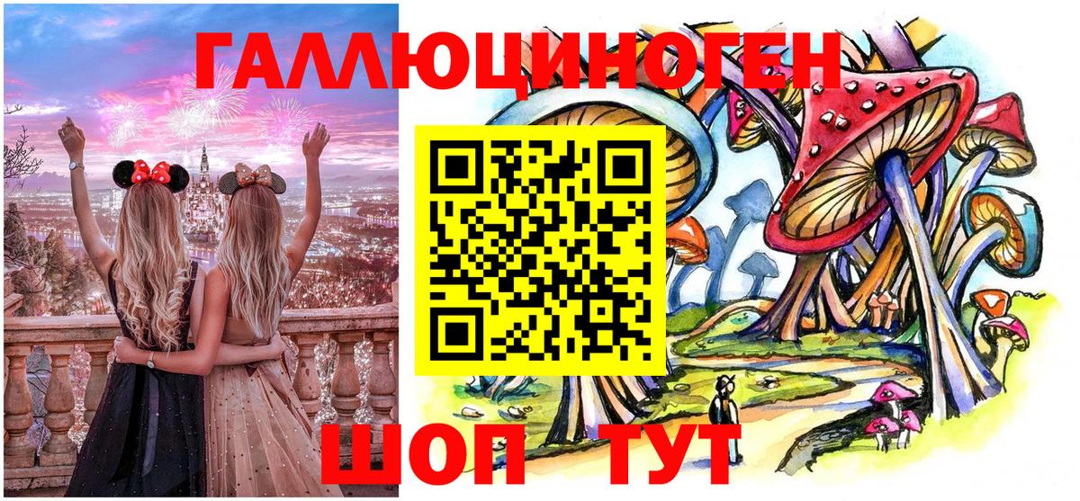 Псилоцибиновые грибы Psilocybine cubensis  Вход с VPN  Махачкала 