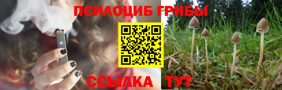 Псилоцибиновые грибы прущие грибы Махачкала